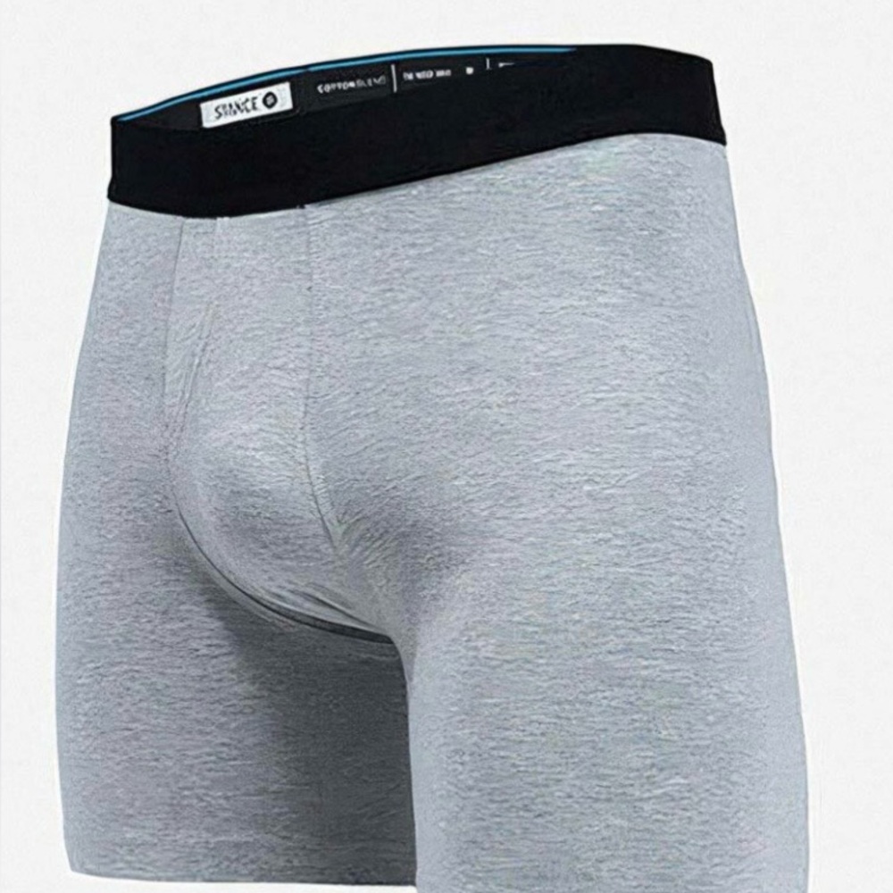 Stance Gray Boxer Briefs (brand new in box)